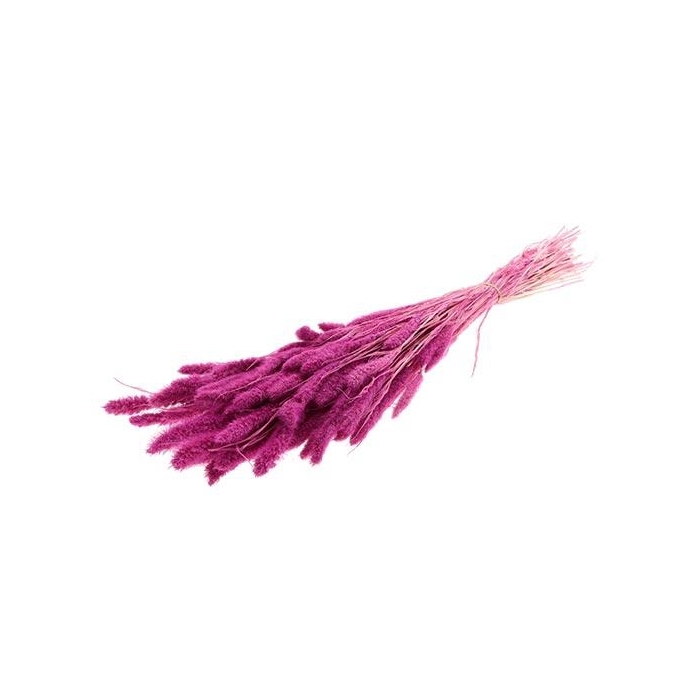 <h4>Bunch Setaria Slv L75 150g</h4>