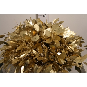 Euca Populus Bes Antique Gold 300gr P Bunch