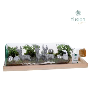 Green Bottle Fles Large liggend Kerst met Arrangement