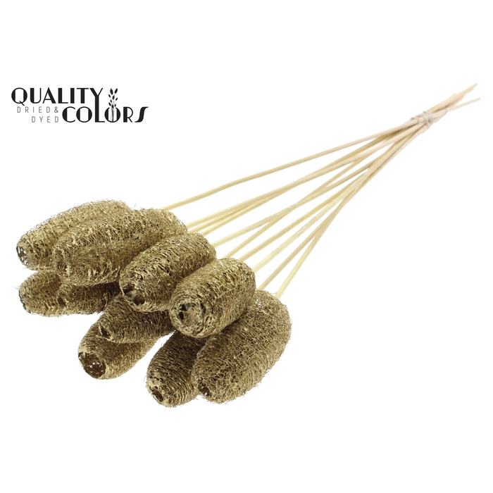 <h4>Luffa Mini on stem Gold</h4>