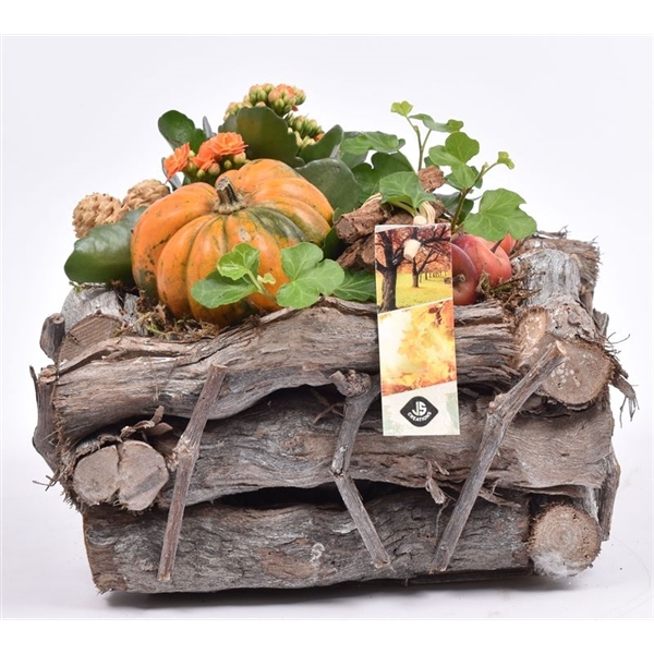 <h4>Natuur druivenhout 23x23cm</h4>