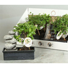 Bonsai Gem+deco Stone& Budha