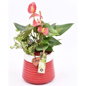 Keramiek pot rood met label 13cm