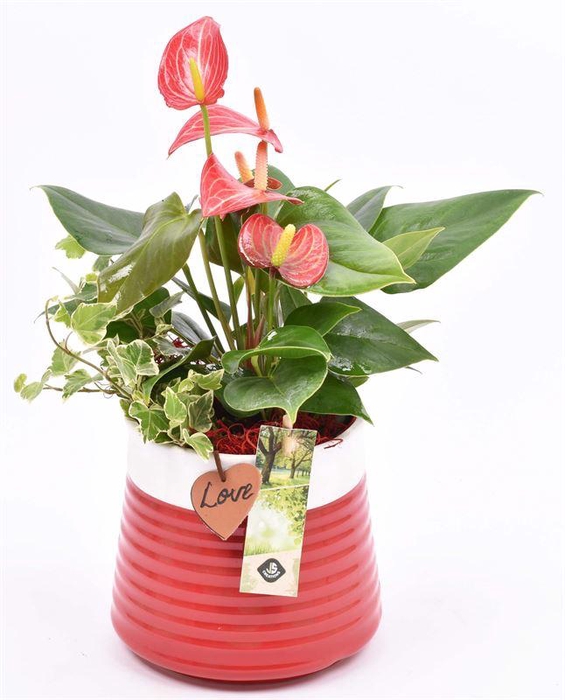 <h4>Keramiek pot rood met label 13cm</h4>