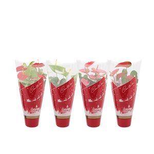 Anthurium 4 color mix in Couture Christmas sleeve