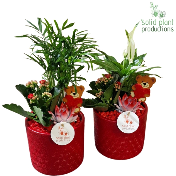 <h4>SCE001 Amy Red Mix VM</h4>