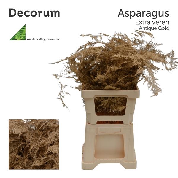 <h4>Asp extra veren Antique gold</h4>