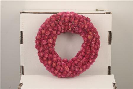 <h4>Wreath Gomphrena Pink 20cm</h4>