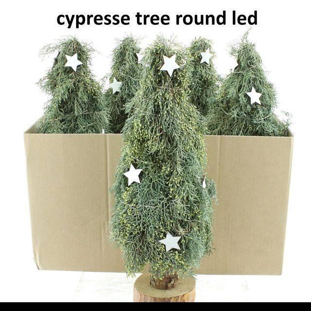 <h4>KERSTBOOM H% KUNST</h4>