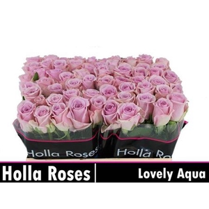 R Gr Lovely Aqua!