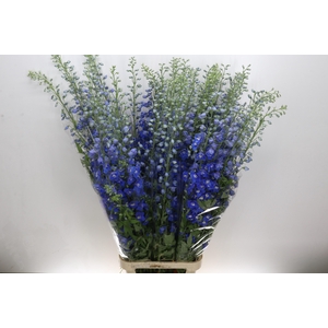 Delph Du Elatum Candle Blue