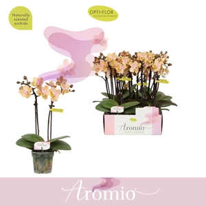Aromio Mineral 2 spike