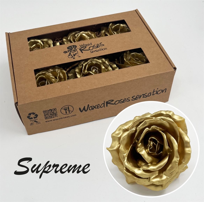 <h4>R Zijde Supreme Goud Wx</h4>