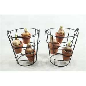 4895 Tete Black Rek 3 Potjes