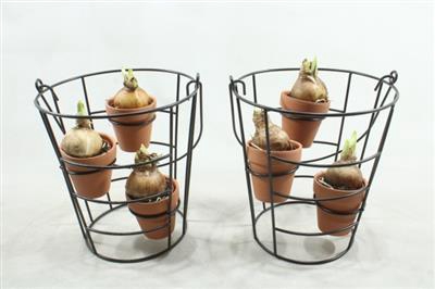 <h4>4895 TETE BLACK REK 3 POTJES</h4>