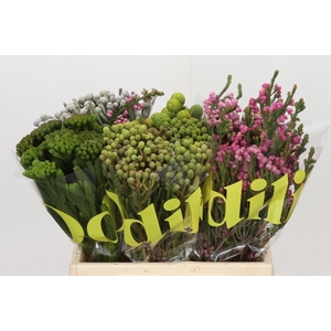 Kaaps Groen Mix in emmer
