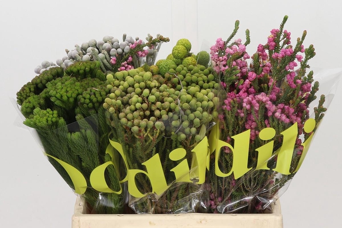 <h4>Kaaps Groen Mix in emmer</h4>