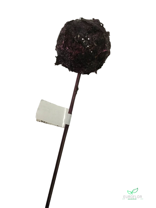 BAL MOS PAARS OP STOK D5 H12