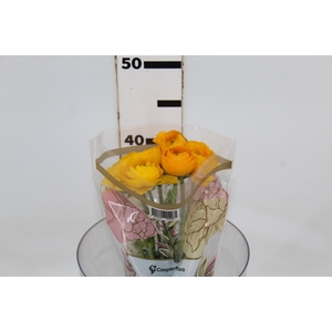 RANUNCULUS GIALLO AMARELO 040 CM