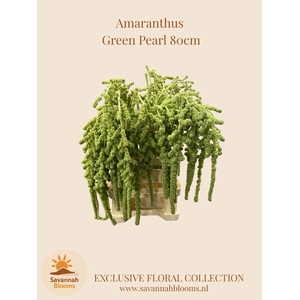 AMAR CA GREEN PEARLS