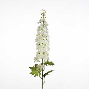 AF Delphinium L98cm white