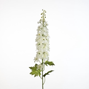 AF Delphinium L98cm white