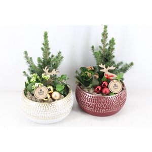 arr2 PL - Ker. schaal red/white 250/2