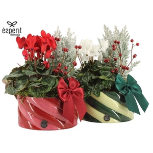 Arrangementen Kerst H%