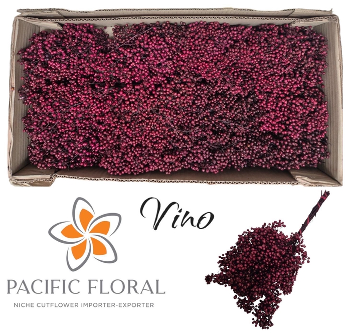 <h4>Pepperberry Bordeaux</h4>