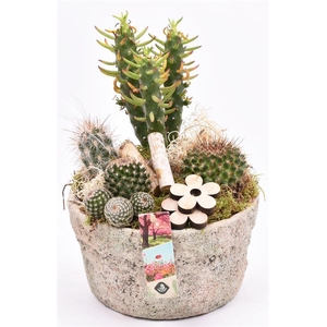 Cement schaal grof 20cm