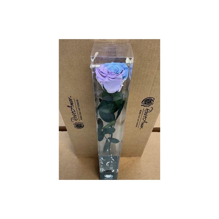<h4>50cm Stem Bic25</h4>