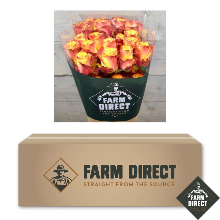 <h4>R GR NEWS FLASH BOX x50</h4>