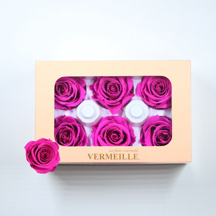 <h4>Rose Ines Hot Pink</h4>