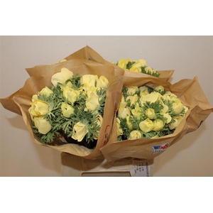 Anem Marianne Powder Yellow