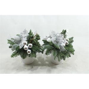 536 Zink Hoog Wit/zilv