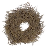 Wreath Asparagus Glitter D40
