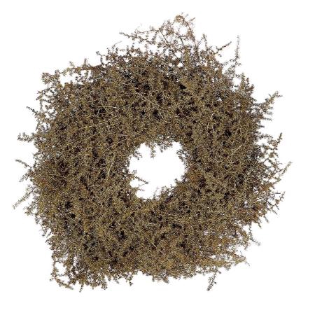 Wreath Asparagus Glitter D40