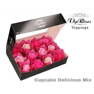 R GR CUPCAKE DELICIOUS MIX