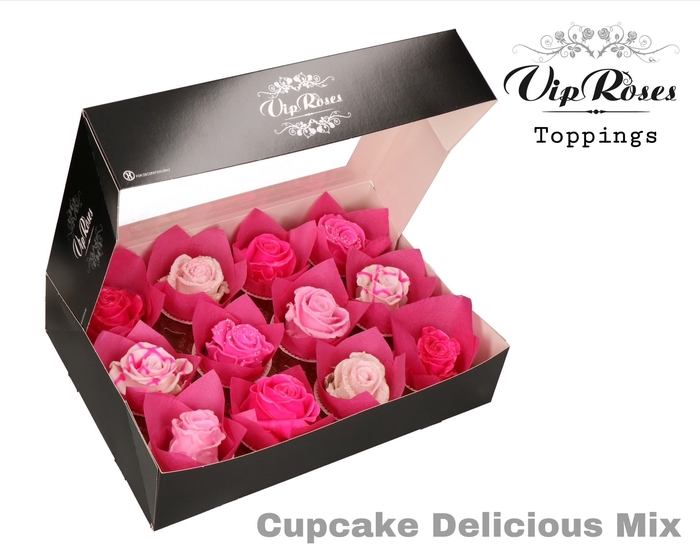 <h4>R GR CUPCAKE DELICIOUS MIX</h4>