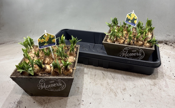 <h4>ARR N TETE A TETE</h4>