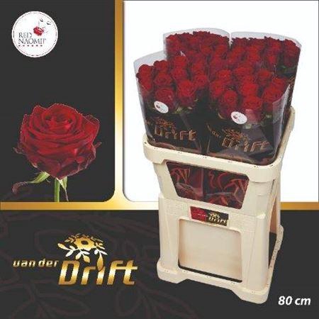 <h4>R Gr Red Naomi!</h4>