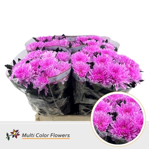 Chr G Undercover Soft Erica