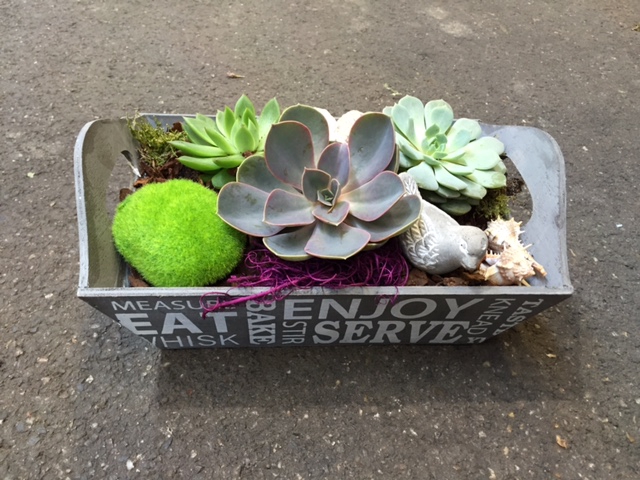Succulent arrangement in 20 cm 'Terracotta Schaal'