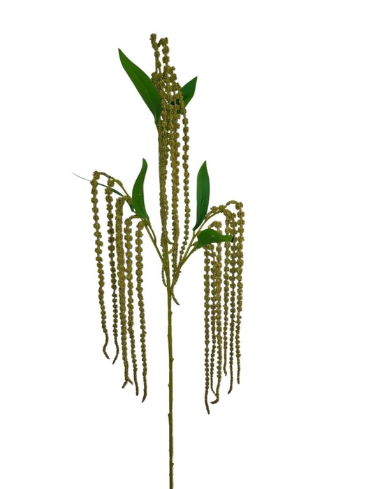 <h4>AF Amaranthus sprx3 L130cm gre</h4>