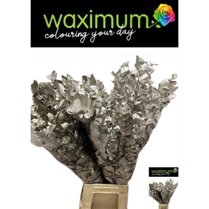 EUC CIN KLB P BOS H%