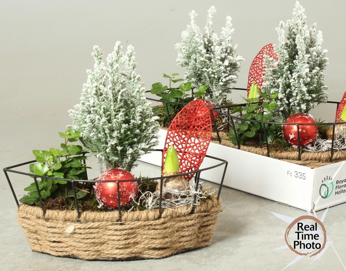 <h4>ARR KAMERPL</h4>