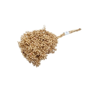 Dried schinus mollis paint gold