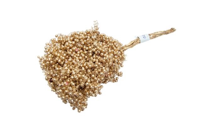<h4>Dried schinus mollis paint gold</h4>
