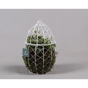 Metaal Ei met Hedera