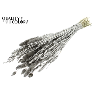Dried Flower mix bunch Platina